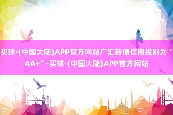 买球·(中国大陆)APP官方网站广汇转债信用级别为“AA+”-买球·(中国大陆)APP官方网站