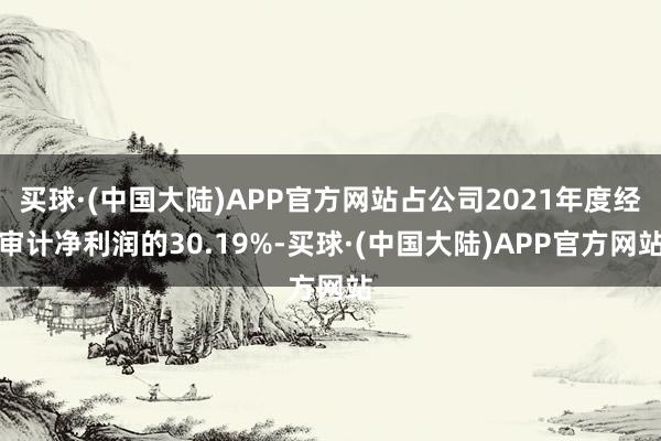 买球·(中国大陆)APP官方网站占公司2021年度经审计净利润的30.19%-买球·(中国大陆)APP官方网站