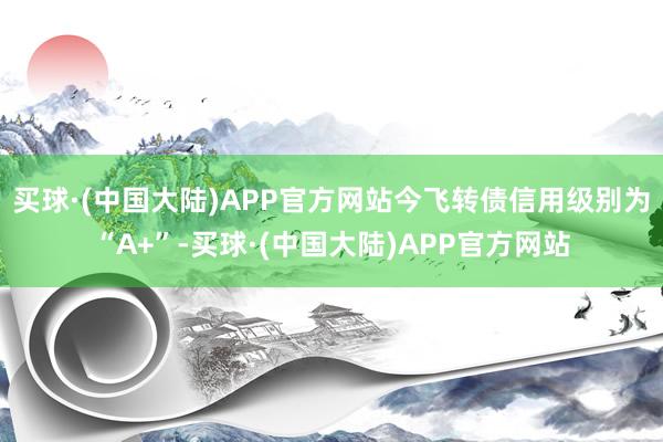 买球·(中国大陆)APP官方网站今飞转债信用级别为“A+”-买球·(中国大陆)APP官方网站