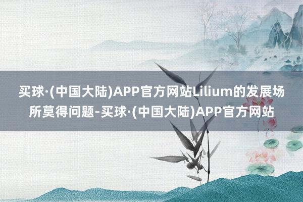 买球·(中国大陆)APP官方网站Lilium的发展场所莫得问题-买球·(中国大陆)APP官方网站