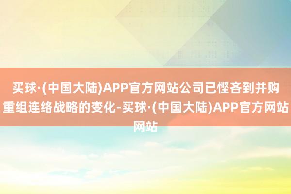 买球·(中国大陆)APP官方网站公司已悭吝到并购重组连络战略的变化-买球·(中国大陆)APP官方网站