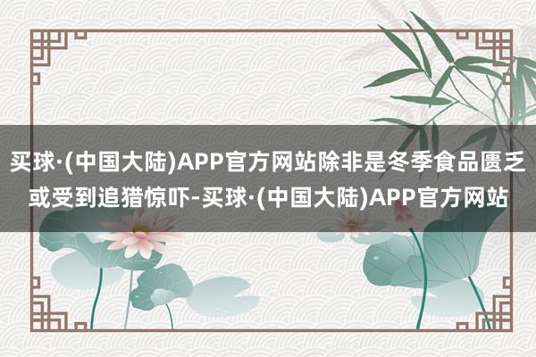 买球·(中国大陆)APP官方网站除非是冬季食品匮乏或受到追猎惊吓-买球·(中国大陆)APP官方网站