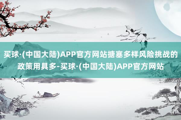 买球·(中国大陆)APP官方网站搪塞多样风险挑战的政策用具多-买球·(中国大陆)APP官方网站