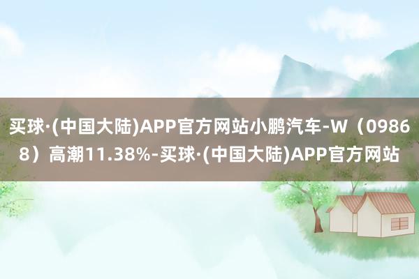 买球·(中国大陆)APP官方网站小鹏汽车-W（09868）高潮11.38%-买球·(中国大陆)APP官方网站