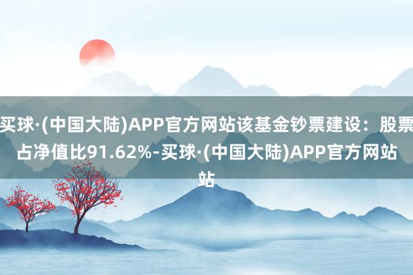 买球·(中国大陆)APP官方网站该基金钞票建设：股票占净值比91.62%-买球·(中国大陆)APP官方网站